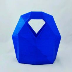 IMG_20161229_094620_123.jpg Free STL file The Futuristic FilaFlex Bag・3D printing template to download