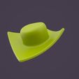 Hat132_0007.jpg Hat132