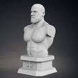 12.jpg Triple H Bust - Classic and Current Versions