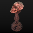 Skull-table2_Diffuse0047.png Human Skull Low Poly