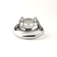 cat-ring-4.jpg Cat ring