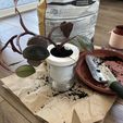 IMG_4583.jpeg Simple Self Watering Mason Jar Planter