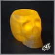 Skull-Vase_2.jpg Free STL file Skull Vase / Bowl・3D printing idea to download