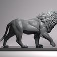 Lion-1.jpg Lions King