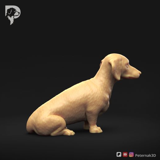 Dachshund-Smooth-Haired-Pose-04-Dog-3D-Print-3s.jpeg Teckel à poil lisse Pose 04