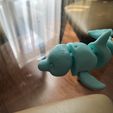 Articulated Dolphin