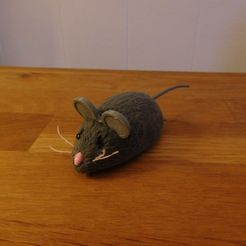 DSCN0798.JPG Free STL file Hex Bug Mouse Cat Toy replacement ears.・3D printing idea to download