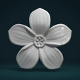Flower-01.png Flower I