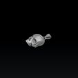 ea56sfda12zsf3c1z4s6fzs6a5df.jpg Skull Pendant 3D print model