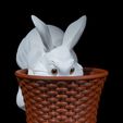 Cottontail-Rabbit-Basket-5.jpg Cottontail Rabbit Basket
