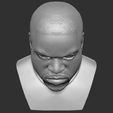 15.jpg Ice Cube bust 3D printing ready stl obj formats