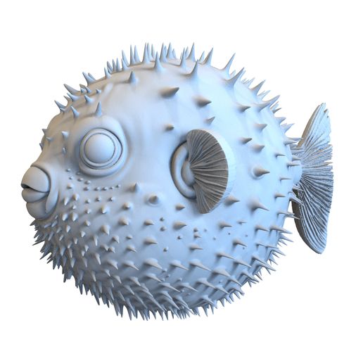 Puffer Fish 3D Model Blowfish 3D Print Model 3D print model