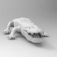 untitled.86.jpg STL-Datei alligator kostenlos・3D-druckbares Design zum herunterladen