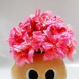 OWLPot!!!.jpg Kit - 4 Cute Flower Pots