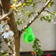 225294D5-9D66-4B8A-B11B-7474AC9646B3.JPG Bird feeder