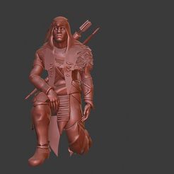 564ad282c9837d7ddb6e6aabf0df7ce5_display_large.jpg Chasseur