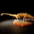 premium-dino-set-pic2.jpg [3Dino Puzzle]Large Dinosaur Museum Premium Set