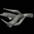 pike-high-quality-1-23.png big old pike underwater statue on the wall detailed texture for 3d printing