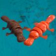 foto4.jpg STL file Flexy Platypus - Ornitorrinco articulado・3D printer model to download