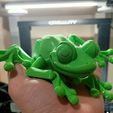 Cute Flexi Print-in-Place Frog, ResinForDays