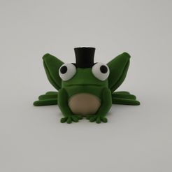 20230711_184608.jpg Singing Frog