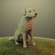 DRENDER3.jpg Cane