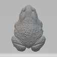 2.png ファット・トード・フロッグ 3Dプリントモデル 3Dプリントモデル