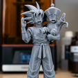 GOKU-RESIN.png Goku & Young Gohan - 3D Printable STL  - presupported