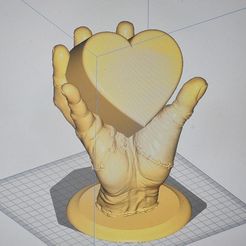 326867551_879197463325995_4612175907287239000_n.jpg Archivo STL gratis Cosa con corazón・Plan de la impresora 3D para descargar