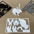 IMG_E9959.jpg Bunny Kit Card
