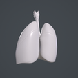 1_006.png Human Lungs