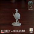 720X720-release-hoplite-officer-5.jpg Hoplite Commander - Shield of the Oracle