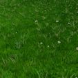 5.jpg Blender Grass 3D Model