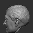 z4699771380067_505fb280b7339e0df892a4cbd64d5c82.jpg Sir Alex Ferguson HEAD WITH HAIR 3D STL FOR PRINT
