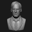 saul1.jpg Jimmy Mcgill/Saul Goodman