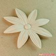 05b.jpg flowers: Aster - 3D printable model
