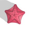 STARFISH-STL-FILE-for-vacuum-forming-and-3D-printing-1.jpg Starfish Stl File