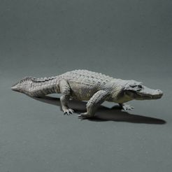 Alligator_walking_1.jpg Archivo STL Aligátor americano・Modelo imprimible en 3D para descargar, AnimalDenMiniatures