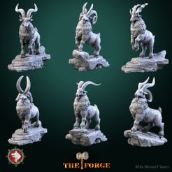 Dwarven-Goat-set.jpg Dwarven Goats set 6 miniatures 32mm pre-supported