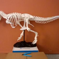 T-Rex_Skeleton.jpg Archivo STL gratuito T-Rex Skeleton Tail reparado (A+B)・Objeto para descargar e imprimir en 3D