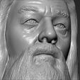 20.jpg Dumbledore from Harry Potter bust 3D printing ready stl obj