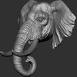 3.jpg Elephant  Head