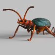 Bomberdier-beetle.1895.jpg Bombardier beetles