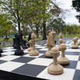 ecliptic_park_01.jpg Ecliptic Chess Pieces
