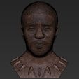 27.jpg Chad Boseman Black Panther bust 3D printing ready stl obj formats