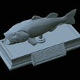 Bass-mount-statue-38.png fish Largemouth Bass / Micropterus salmoides open mouth statue detailed texture for 3d printing