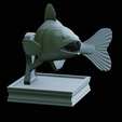 zander-trophy-36.png zander / pikeperch / Sander lucioperca fish in motion trophy statue detailed texture for 3d printing