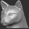 3.jpg Cougar / Mountain Lion head for 3D printing