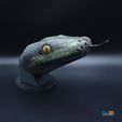 3588421798.jpg Reticulated python portrait Malayopython reticulatus - STL 3D print model - high-polygon incl. tongue (attachment with magnet), wall mount and base