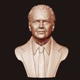 04.jpg Jack Nicholson 3D print model